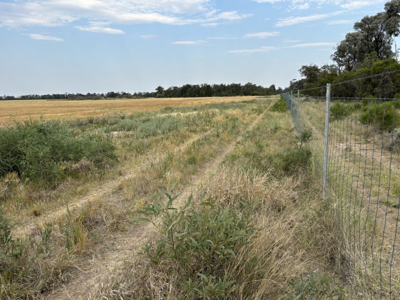 Goondiwindi QLD 4390
