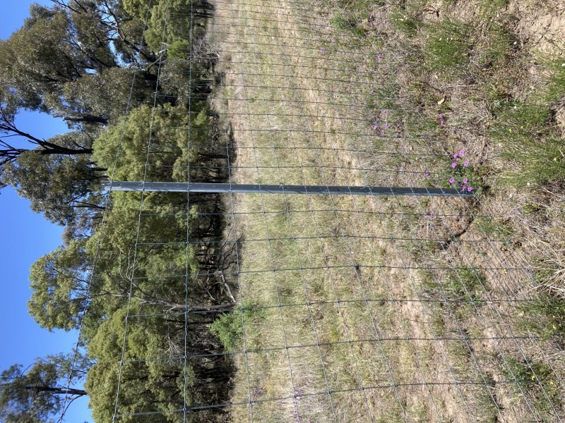 Goondiwindi QLD 4390