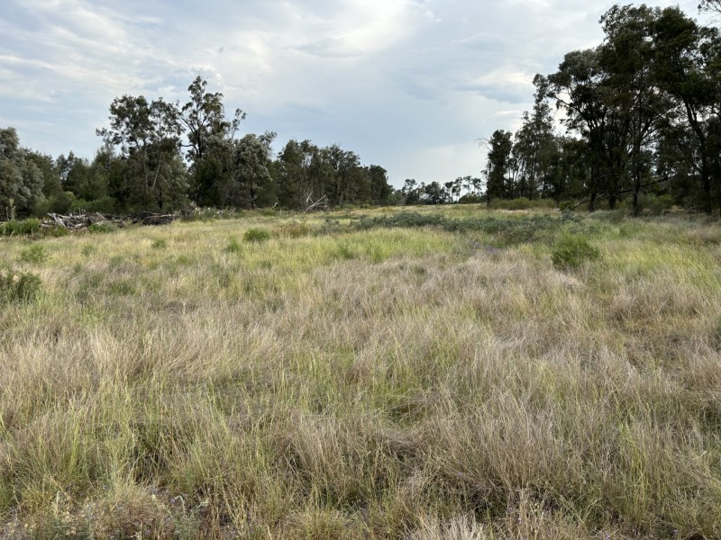 Goondiwindi QLD 4390