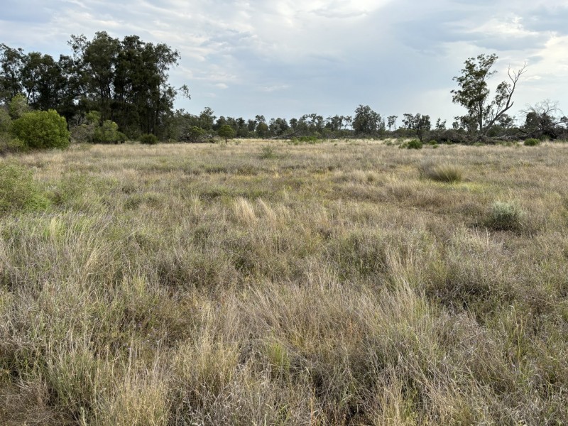 Goondiwindi QLD 4390