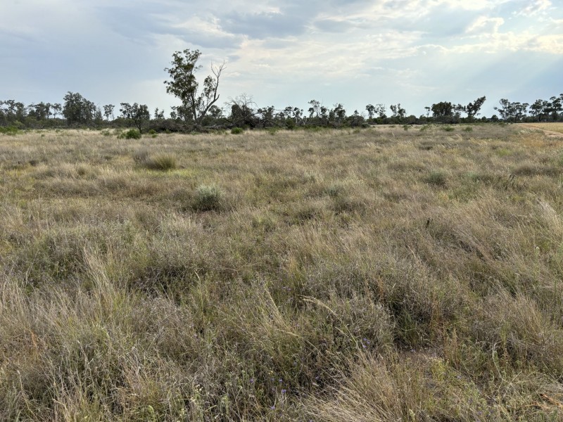 Goondiwindi QLD 4390