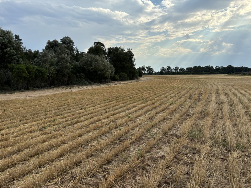 Goondiwindi QLD 4390