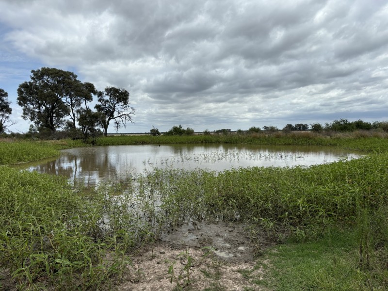 Goondiwindi QLD 4390