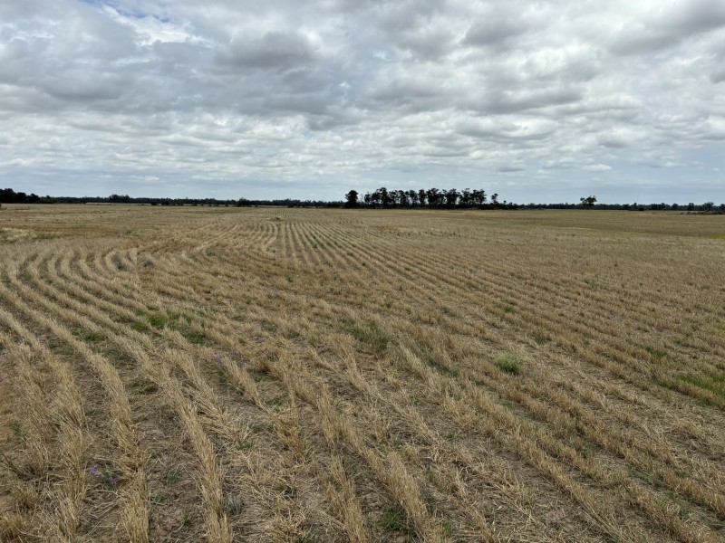 Goondiwindi QLD 4390