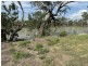 13 Billabong Dr, Goondiwindi QLD 4390