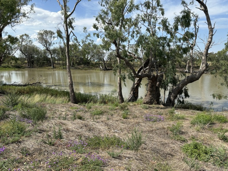 13 Billabong Dr, Goondiwindi QLD 4390