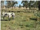 2090 Baltimore Loop Rd, Atholwood NSW 2361