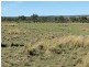 2090 Baltimore Loop Rd, Atholwood NSW 2361