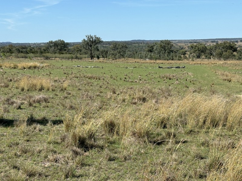 2090 Baltimore Loop Rd, Atholwood NSW 2361