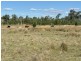 2090 Baltimore Loop Rd, Atholwood NSW 2361