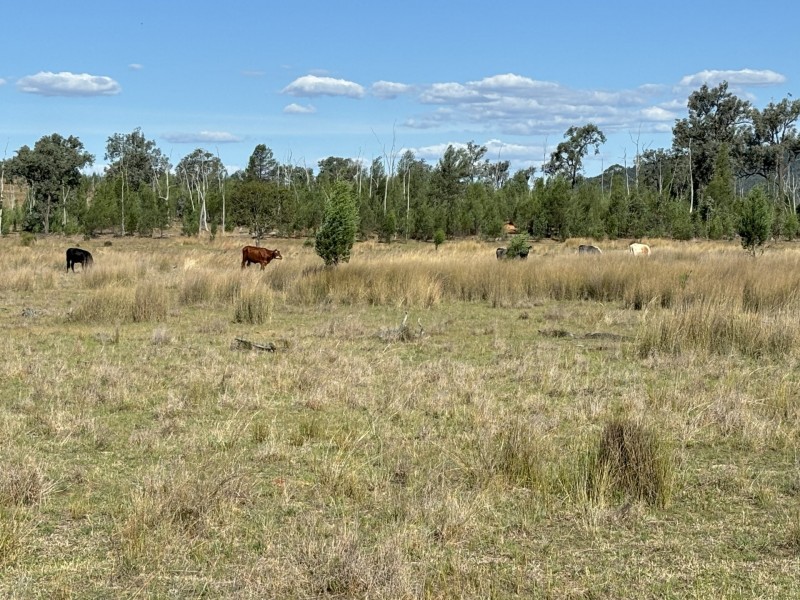 2090 Baltimore Loop Rd, Atholwood NSW 2361