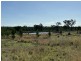 2090 Baltimore Loop Rd, Atholwood NSW 2361