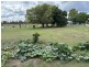 90-92 MACINTYRE STREET, Yetman NSW 2410