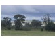 1587 Tobacco Rd, Coolmunda QLD 4387
