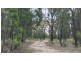 1587 Tobacco Rd, Coolmunda QLD 4387