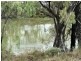 9 Billabong Dr, Goondiwindi QLD 4390