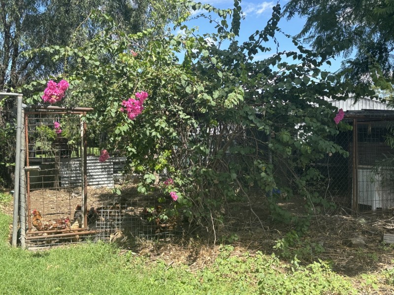 52 Darling Street, Goondiwindi QLD 4390