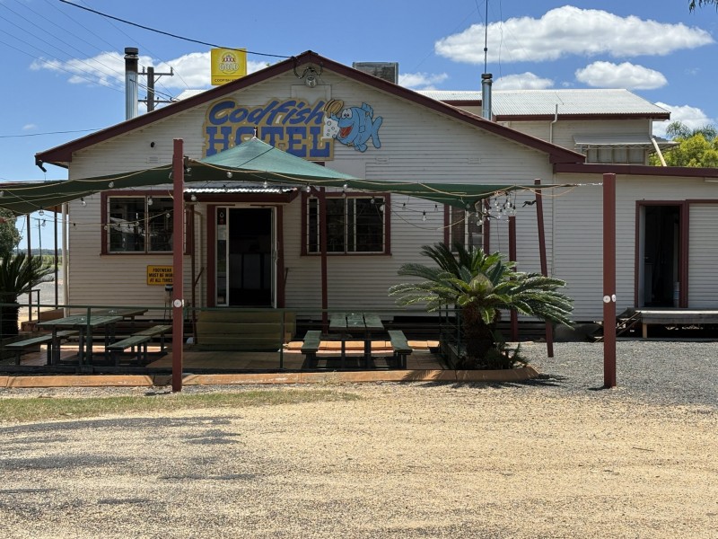 97 Warialda St, Yetman NSW 2410