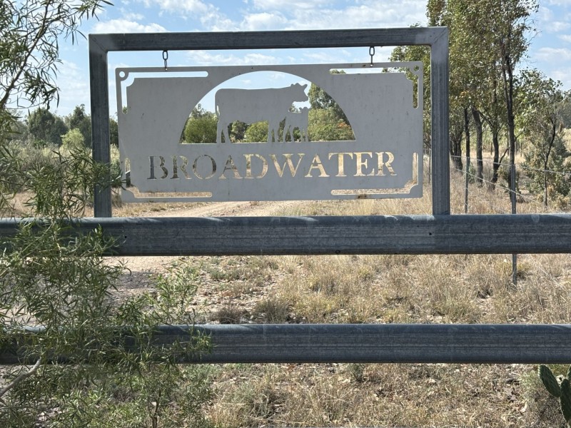Yelarbon QLD 4388