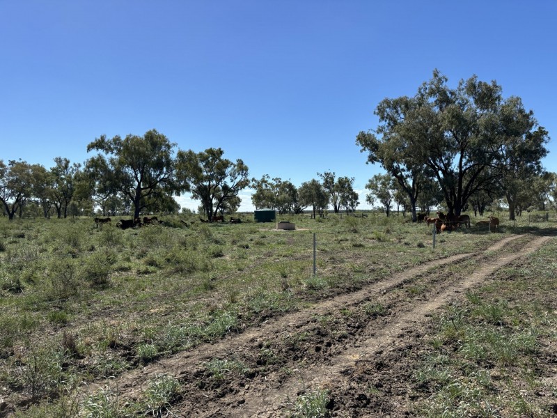 Goondiwindi QLD 4390