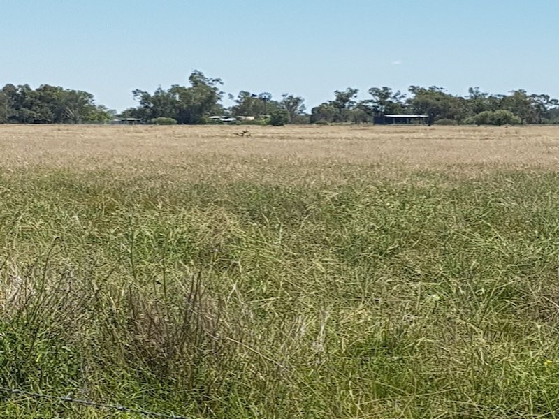 27966 Cunningham Hwy, Goondiwindi QLD 4390