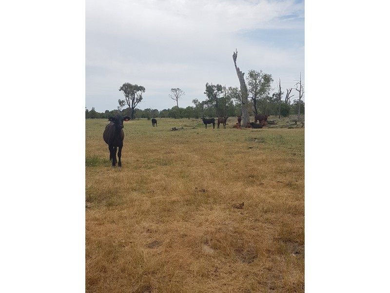 27966 Cunningham Hwy, Goondiwindi QLD 4390