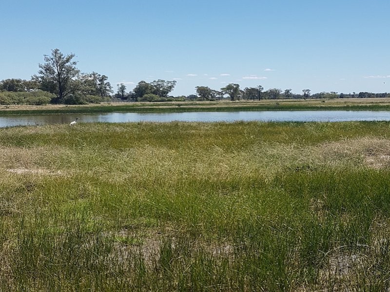 27966 Cunningham Hwy, Goondiwindi QLD 4390