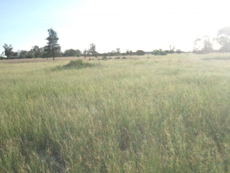 27966 Cunningham Hwy, Goondiwindi QLD 4390