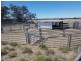 27966 Cunningham Hwy, Goondiwindi QLD 4390
