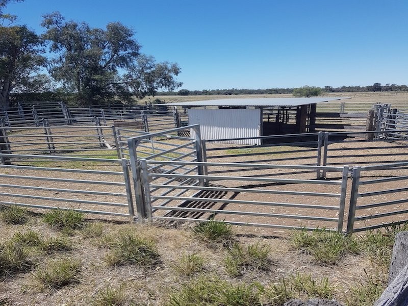 27966 Cunningham Hwy, Goondiwindi QLD 4390