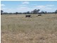 27966 Cunningham Hwy, Goondiwindi QLD 4390