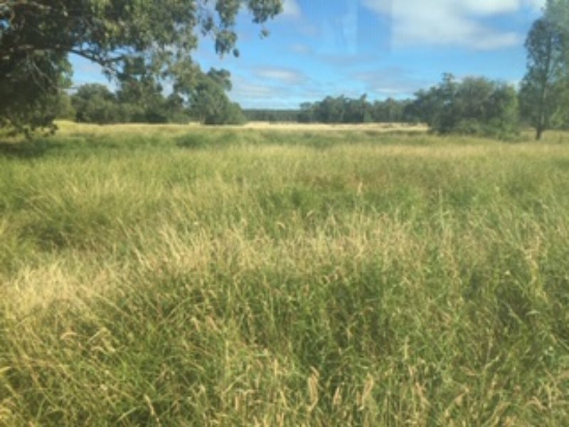 21 Thomby Rd, Goondiwindi QLD 4390