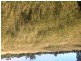 21 Thomby Rd, Goondiwindi QLD 4390