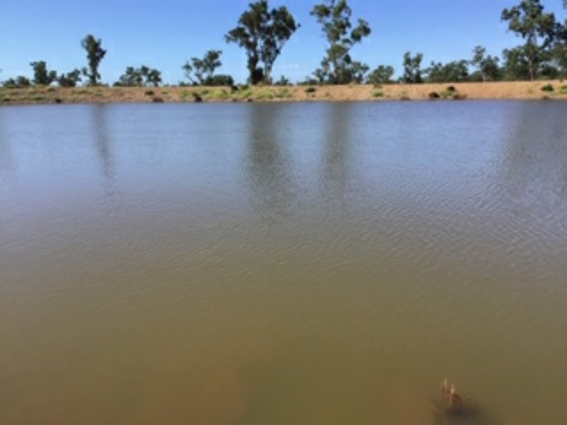 21 Thomby Rd, Goondiwindi QLD 4390