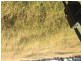 21 Thomby Rd, Goondiwindi QLD 4390