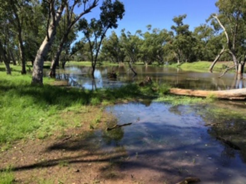 21 Thomby Rd, Goondiwindi QLD 4390