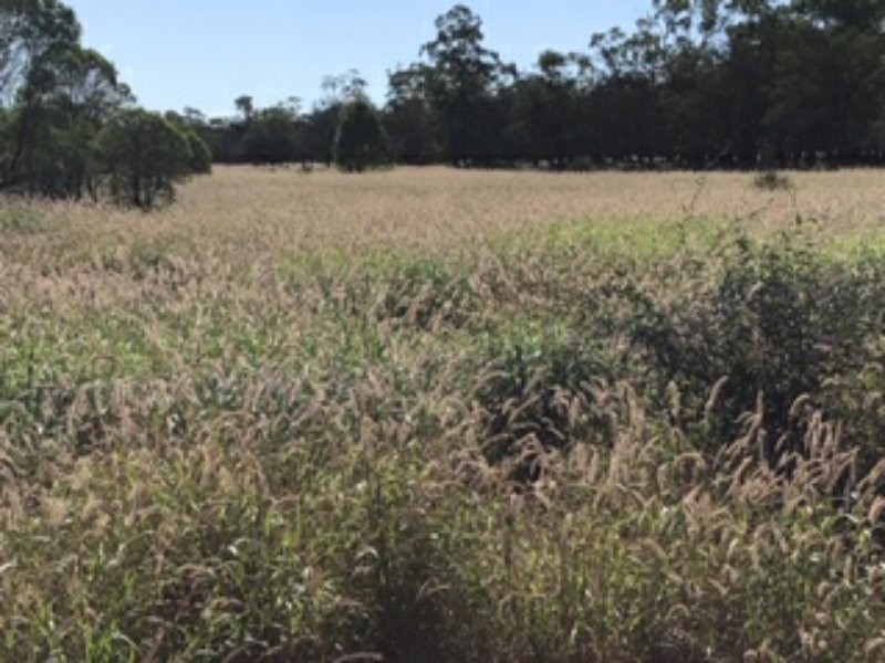 21 Thomby Rd, Goondiwindi QLD 4390