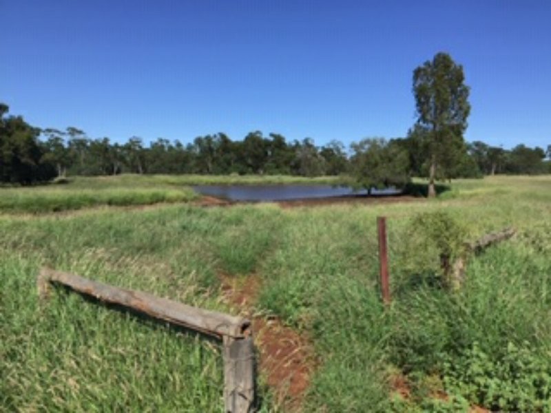 21 Thomby Rd, Goondiwindi QLD 4390