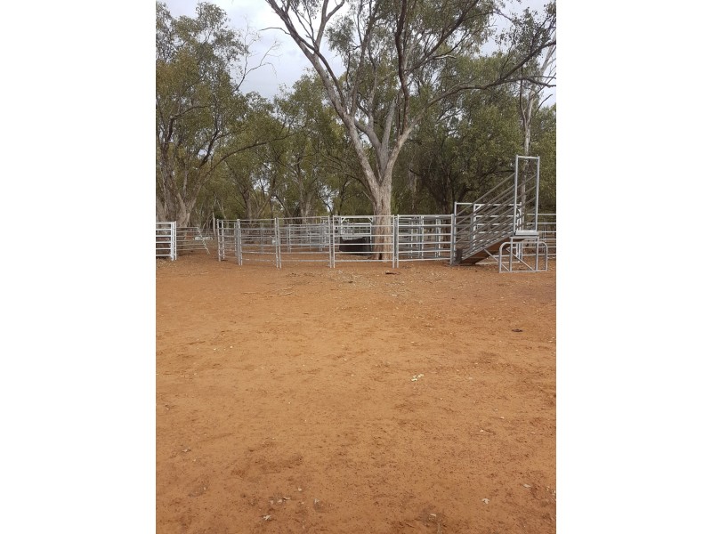 21 Thomby Rd, Goondiwindi QLD 4390