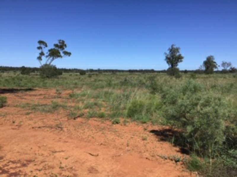 21 Thomby Rd, Goondiwindi QLD 4390