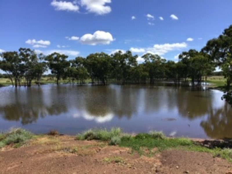 21 Thomby Rd, Goondiwindi QLD 4390