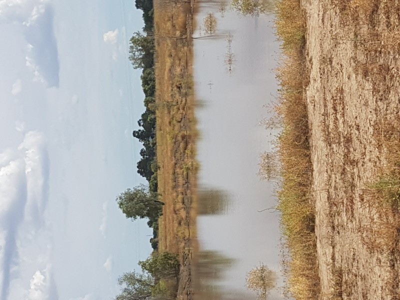 Goondiwindi QLD 4390