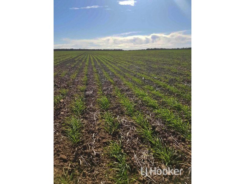 Goondiwindi QLD 4390