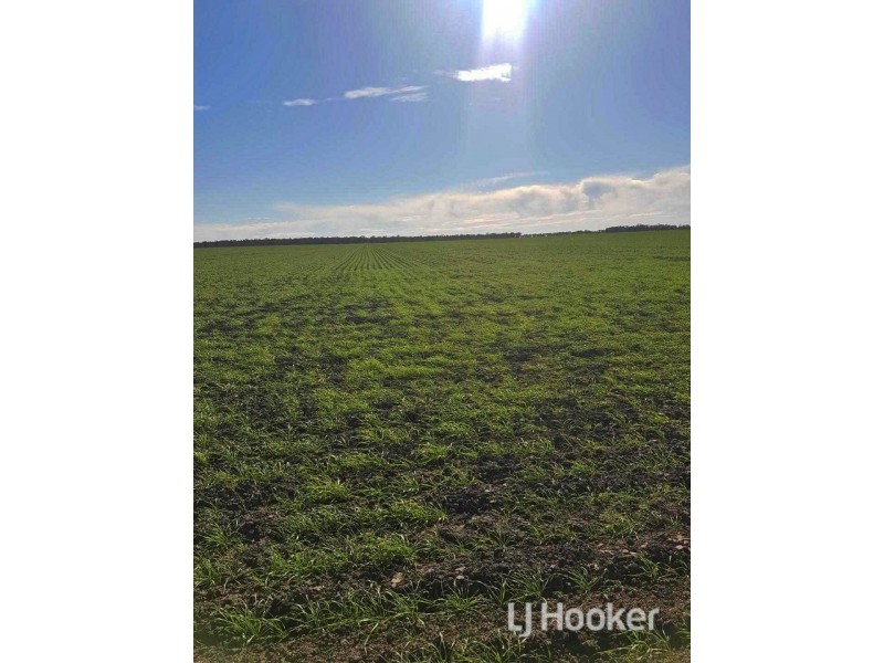 Goondiwindi QLD 4390