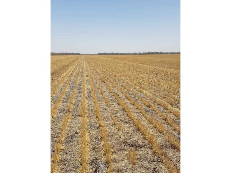 Goondiwindi QLD 4390