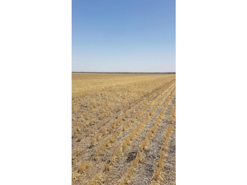 Goondiwindi QLD 4390