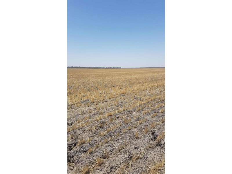 Goondiwindi QLD 4390