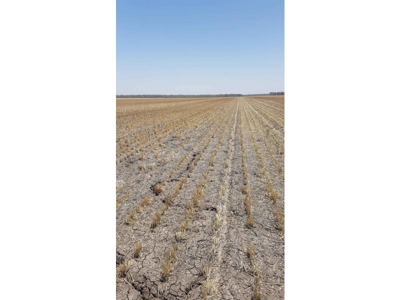 Goondiwindi QLD 4390