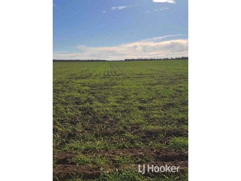 Goondiwindi QLD 4390