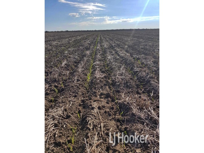 Goondiwindi QLD 4390